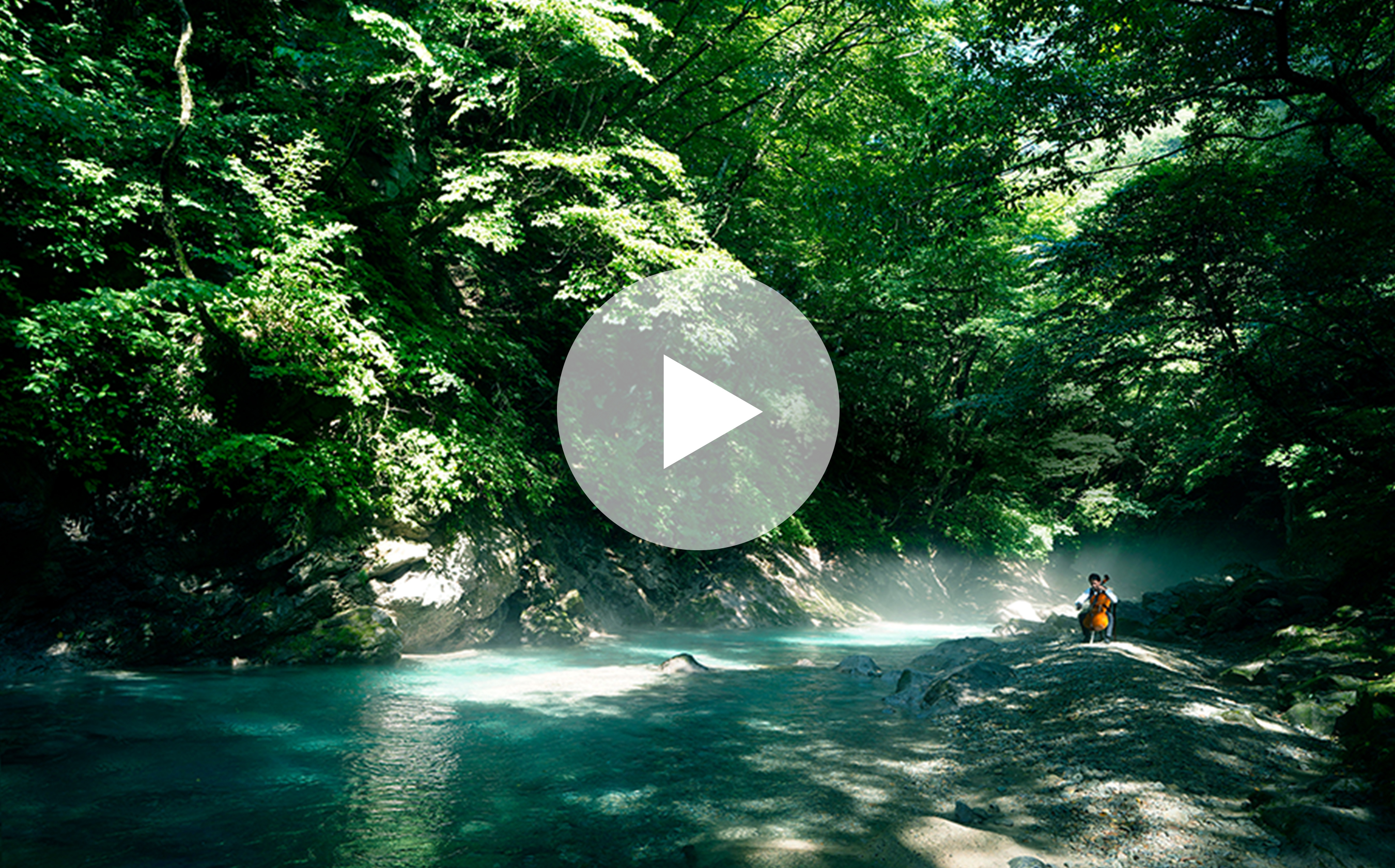 VIEQU HOUSEブランドムービー